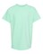 Comfort Colors® Garment Dyed Youth Heavyweight Crewneck Short Sleeve T-Shirt